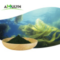 Health Supplements Food additive Spirulina Powder